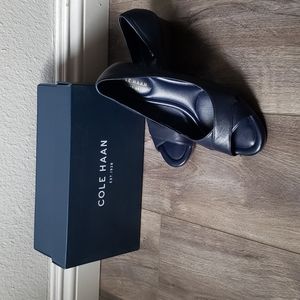 Cole Haan Dark Blue Wedges